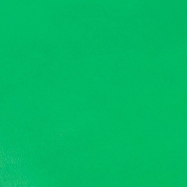 KDSKF.Kelly Green.03.jpg Shrut & Asch Kidskins Image